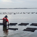 4mm Diamond Oyster Aquaculture Floats